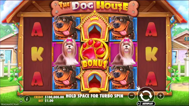 The Dog House multiplier wilds and sticky wilds